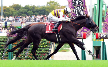 【毎日王冠・レースメモ】シルバーステート産駒　延べ３頭の出走で初勝利