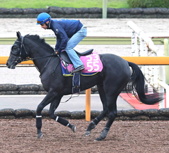 【ＰＯＧ】母はＧ１・４勝の名牝クロノジェネシス　良血馬ノイエルングが京都・芝１８００メートルでデビュー