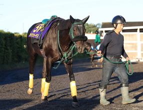 【天皇賞・秋・土曜気配】ラストランを迎えるセイウンハーデスは抜群の仕上がり　陣営「何とかタイトルがほしい」