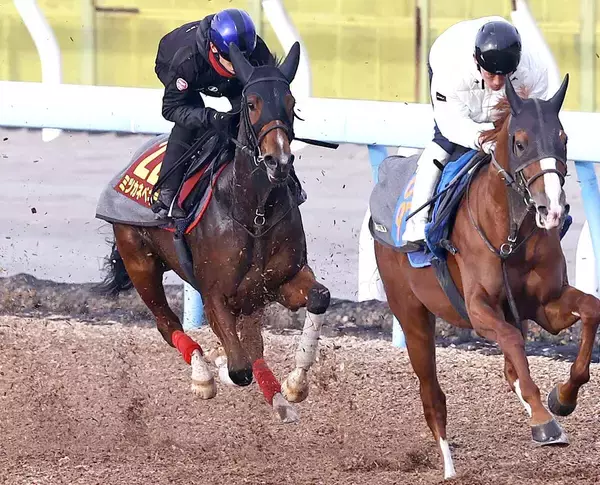 【阪神ＪＦ】ミツカネベネラが馬具も工夫して意識的に“ソフト仕上げ”　津村明秀騎手「気持ちよく走れていた」