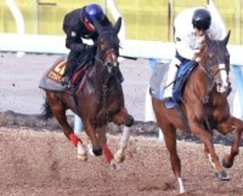 【阪神ＪＦ】ミツカネベネラが馬具も工夫して意識的に“ソフト仕上げ”　津村明秀騎手「気持ちよく走れていた」