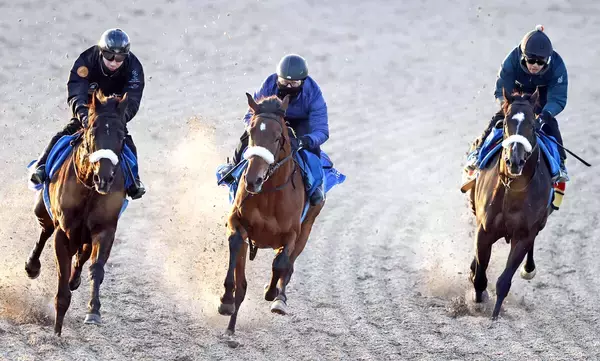 【注目馬動向】シックスペンスは戸崎圭太騎手との新コンビでフェブラリーＳへ　定年引退前の国枝調教師ラストＧ１