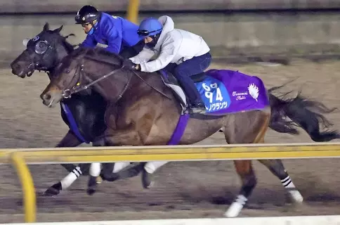 【アミールＴ】サトノグランツとディープモンスターがＣＷコースで併せ馬　ともにラスト１０秒７で上々の仕上がり