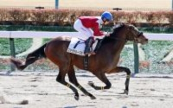 【東京４Ｒ・３歳新馬】兄姉９頭が勝ち上がっているステラデルークス初陣Ｖ　鈴木伸調教師「みんな走るんだよね」