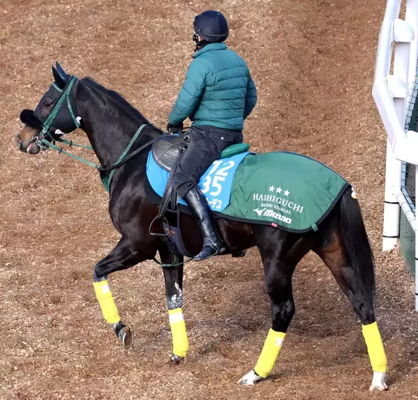 【中山記念・山下の特注馬】セイウンハーデスは本来の競馬なら巻き返せる　１８００メートルの距離もベスト