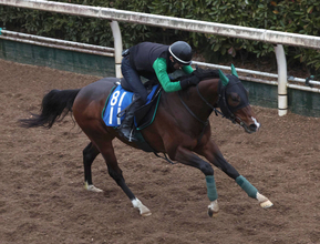 土曜中山競馬場の注目激走馬…中山１１Ｒオーシャンステークス・Ｇ３