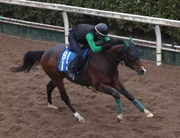 土曜中山競馬場の注目激走馬…中山１１Ｒオーシャンステークス・Ｇ３