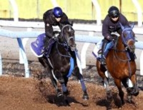 【皐月賞・１週前】リアライズシリウスは豪快な動きでラスト１１秒０　手塚久調教師「単純に能力がある」