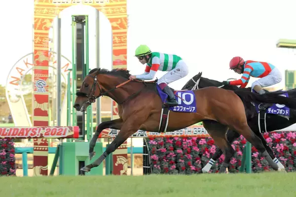 今年デビューの新種牡馬は３４頭　最多登録はエフフォーリアの１２５頭　チュウワウィザードは１２０頭