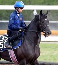 【京都新聞杯】良血馬ベレシートがダービーへ勝負駆け　斉藤崇調教師「すごく自信には…」と手応えを深める理由