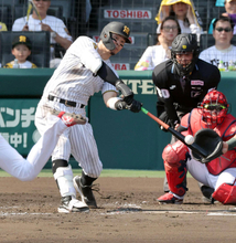 【阪神】ＴＯＲＡＣＯ歓喜！佐藤輝明がリーグ単独トップ１１号ソロ　４番に戻って圧巻の打球