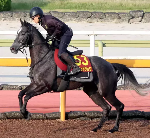 【オークス】無傷２連勝のアンジュドジョワが一発狙う　騎手時代にオークス３勝の福永調教師が送り込む未知の素質馬
