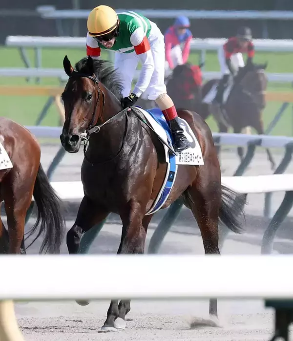日本ダービー２着馬パントルナイーフが膝を骨折　キャロットクラブが発表