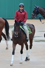 【函館５Ｒ・２歳新馬】武豊騎手「乗っているだけでした」　断然人気シグレが衝撃の６馬身差Ⅴ　次走は函館２歳Ｓ