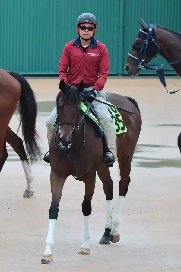 【函館５Ｒ・２歳新馬】武豊騎手「乗っているだけでした」　断然人気シグレが衝撃の６馬身差Ⅴ　次走は函館２歳Ｓ