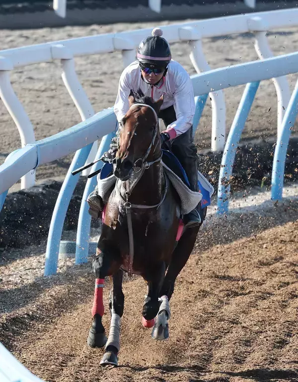 【注目馬動向】しらさぎＳ４着のファンダムは京成杯ＡＨへ　２５年の毎日杯以来２つ目の重賞タイトル狙う