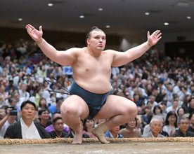 安青錦が３敗を守り、Ｖ争いに踏みとどまる　琴桜に勝ち、２連覇の可能性残す