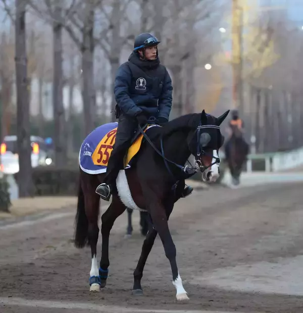 土曜中山競馬場の注目激走馬…中山１１Ｒターコイズステークス・Ｇ３