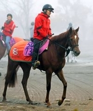 【フェアリーＳ】キャリア１戦１勝ヴァリスマリネリス出来よし！軽快な動きに中舘調教師は「思ったよりも時計が出ました」