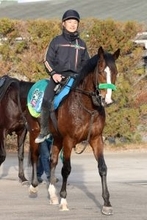 【日経新春杯】ミュージアムマイル＆マスカレードボールに続け！強い４歳世代ゲルチュタールが重賞初制覇狙う