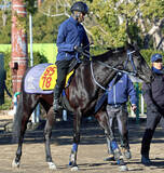 「【シルクロードＳ】３頭併せで楽々とウインアイオライトが最先着　矢嶋調教師「余力十分」出来に太鼓判」の画像1