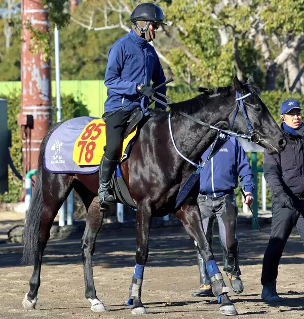 【シルクロードＳ】３頭併せで楽々とウインアイオライトが最先着　矢嶋調教師「余力十分」出来に太鼓判