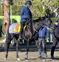 【シルクロードＳ】３頭併せで楽々とウインアイオライトが最先着　矢嶋調教師「余力十分」出来に太鼓判