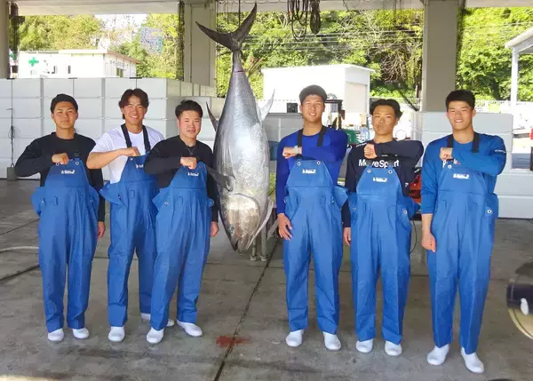 【ＤｅＮＡ】「マグロはチャンスを逃さない」　ルーキー６選手がマグロ養殖場訪問で渾身の“食レポ”