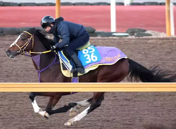 日曜小倉競馬場の注目激走馬…小倉１１Ｒ小倉日経賞