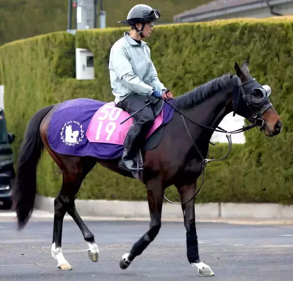 【チューリップ賞】武豊騎手×アランカールで桜切符を　斉藤崇調教師「勝たないと。本番に行きたいですから」