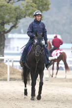 【大阪杯】５度目のダービー馬対決　クロワデュノールが復権へ「もう１回、一番強いところを見せないと」