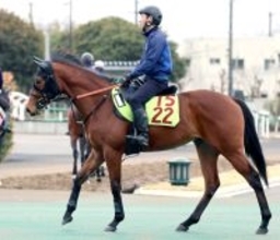 【ＰＯＧ】名牝アーモンドアイを伯母に持つ良血馬ユタライトがゲート試験に合格　宮田調教師「優等生ですね」