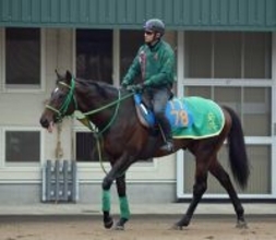 土曜中山競馬場の注目激走馬…中山１１Ｒダービー卿チャレンジトロフィー・Ｇ３
