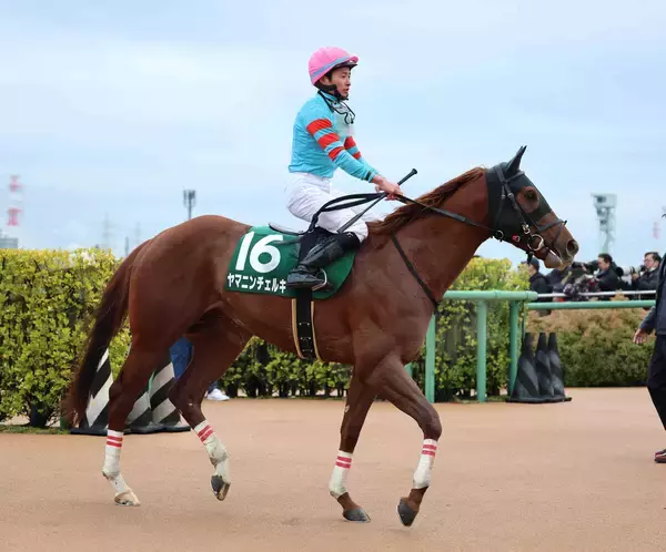 【東京スプリント】１番人気のヤマニンチェルキは４着　サウジ帰りの初戦黒星も岩田望来騎手「よく走っている」と評価