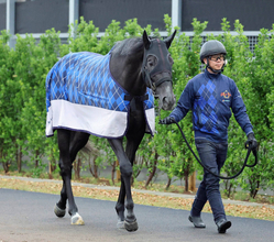 【トク捜リレー】美浦・三戸記者の注目はディープインパクトなど最多５勝の好枠をゲットした芦毛馬　皐月賞