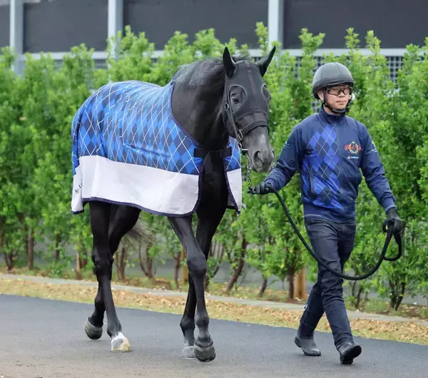 【トク捜リレー】美浦・三戸記者の注目はディープインパクトなど最多５勝の好枠をゲットした芦毛馬　皐月賞