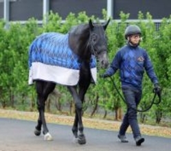 【トク捜リレー】美浦・三戸記者の注目はディープインパクトなど最多５勝の好枠をゲットした芦毛馬　皐月賞