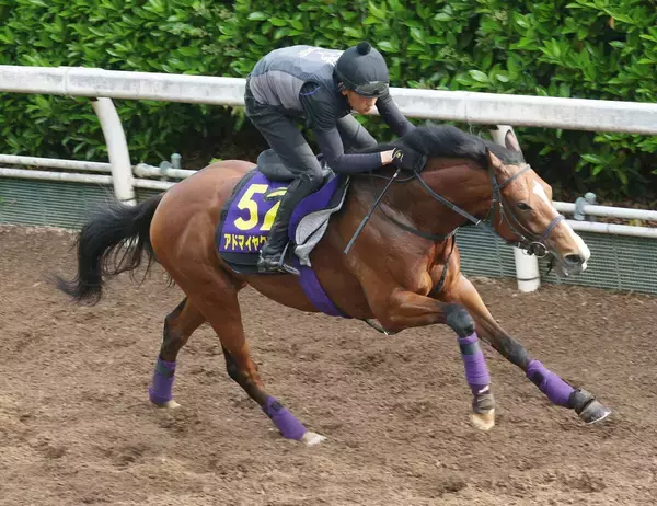 【ＮＨＫマイルＣ・１週前】皐月賞１５着のアドマイヤクワッズは上々の伸び　巻き返しへ友道調教師「疲れはなさそう」