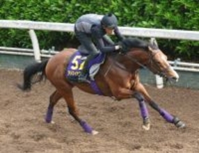 【ＮＨＫマイルＣ・１週前】皐月賞１５着のアドマイヤクワッズは上々の伸び　巻き返しへ友道調教師「疲れはなさそう」