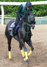 【安田記念・山下の特注馬】マイルでセイウンハーデスが一変　幸英明騎手も距離適性に自信あり