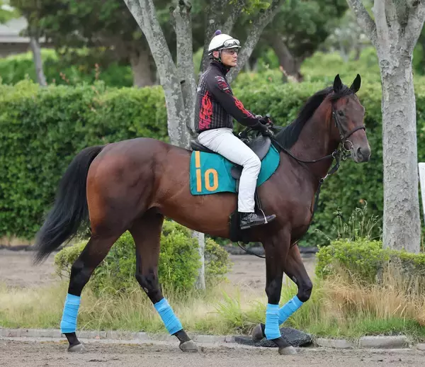【２２日の注目・札幌１Ｒ】ルメール騎手が２か月ぶりのＪＲＡ復帰戦　国枝厩務員が手がけるトゥザファイナルに騎乗