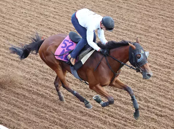 【紫苑Ｓ】桜花賞３着以来のジッピーチューンは坂路を軽快　林調教師「だいぶ素軽くなってきました」