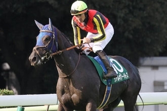 【京成杯ＡＨ】まさかの最下位...ルメール騎手騎乗の３番人気ヴァルキリーバースは１６着　前走１４着から一変狙うも