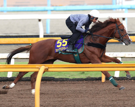 【天皇賞・秋】シェイクユアハートが古川吉洋騎手を背に鋭伸　「いつも通りちゃんと上がってきた」