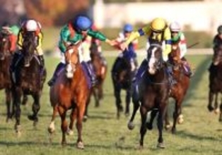 「胸が熱くなりました」「また日本に来て」無事に帰国したジャパンＣ覇者カランダガンの動画が反響