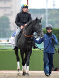 「【注目馬動向】東京スポーツ杯２歳Ｓ２着のゾロアストロは、鞍上ハマーハンセン騎手できさらぎ賞へ」の画像1