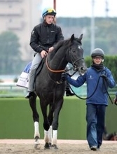 【注目馬動向】東京スポーツ杯２歳Ｓ２着のゾロアストロは、鞍上ハマーハンセン騎手できさらぎ賞へ