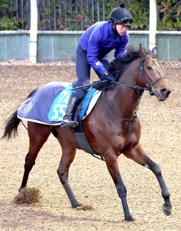 【プロキオンＳ】テーオーパスワードはチーク着用で巻き返し図る　陣営「重賞でもやれる力はある」