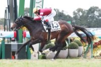 【京都５Ｒ・３歳新馬】３億３０００万円の高額馬ペイジャーが勝利　福永調教師「粗削りの極み」