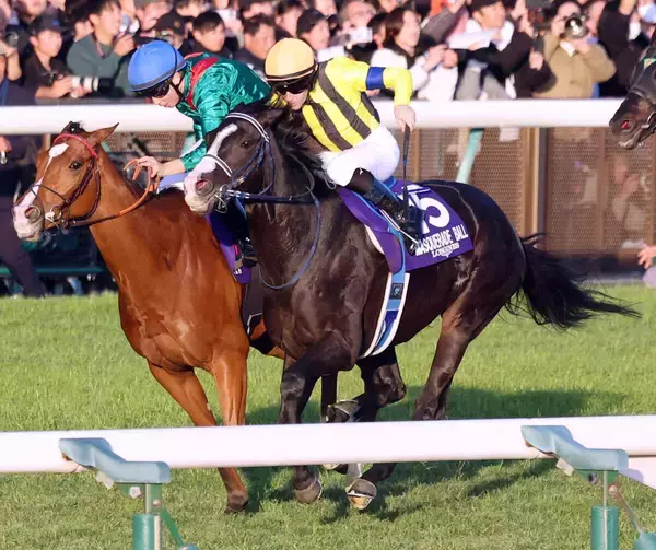 【注目馬動向】カランダガンと再戦へ　マスカレードボールはドバイ・シーマクラシックの招待を受諾　鞍上はルメール騎手